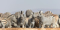Etosha - Dolomite Camp-19