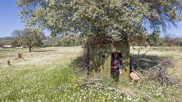 Gierenhut - Vulture Hide