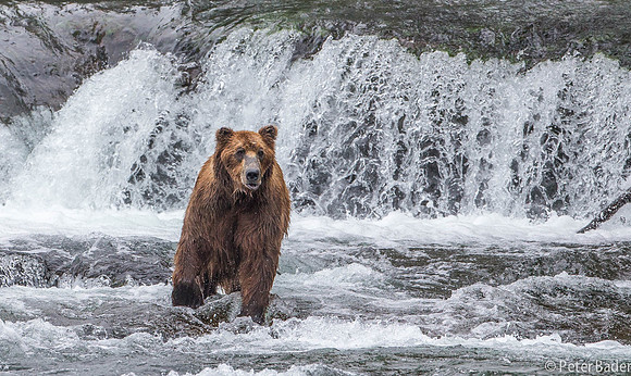 Alaska-9