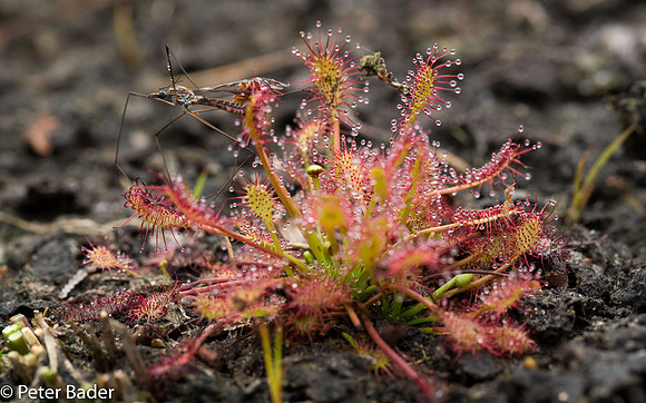 Macro Workshop-10