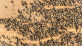 Namib Naukluft National Park-16