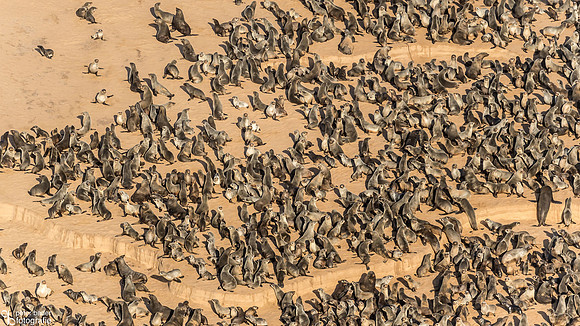 Namib Naukluft National Park-16