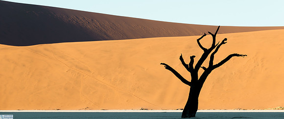 Deadvlei-4