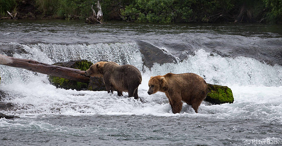 Alaska-8