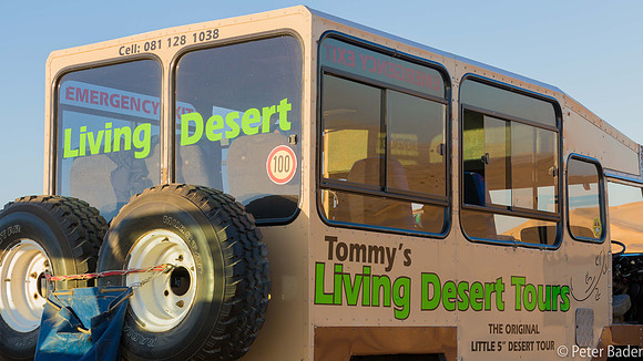 Tommy's Living Dessert Tour-1