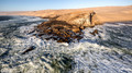 Namib Naukluft National Park-14
