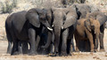 Etosha - Dolomite Camp-7