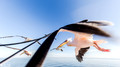 Pelikanen - Pelicans-16
