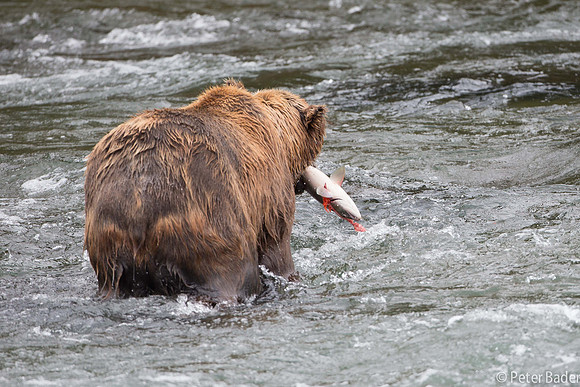Alaska-15