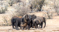 Etosha - Dolomite Camp-17