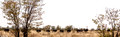 Etosha - Dolomite Camp-18