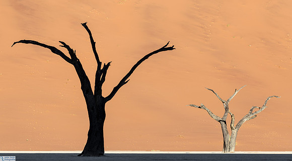 Deadvlei Namibia