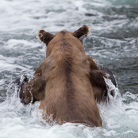 Alaska-17