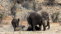 Etosha - Dolomite Camp-15