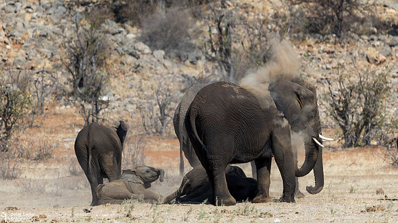 Etosha - Dolomite Camp-15