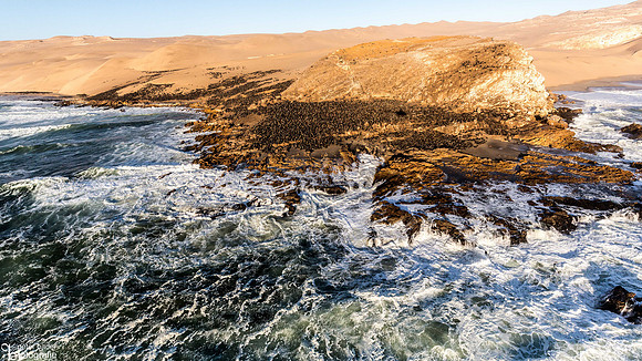 Namib Naukluft National Park-13