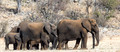 Etosha - Dolomite Camp-12