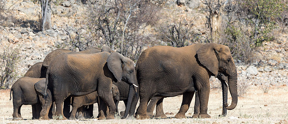 Etosha - Dolomite Camp-12