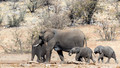 Etosha - Dolomite Camp-3
