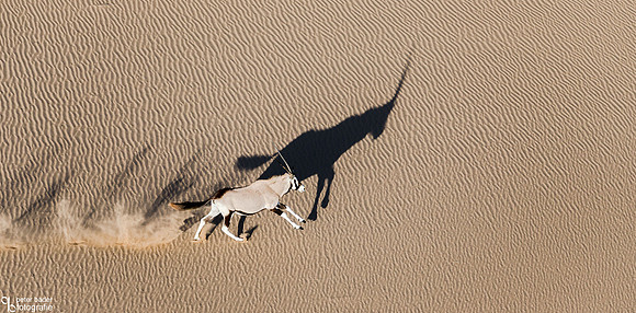 Namib Naukluft National Park