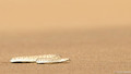 Sidewinding Adder-4
