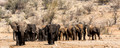 Etosha - Dolomite Camp-4