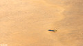 Namib Naukluft National Park-25