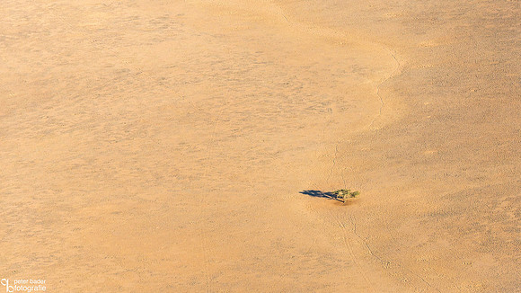 Namib Naukluft National Park-25