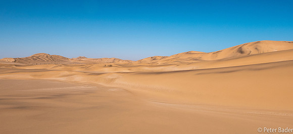 Namib Dessert-1