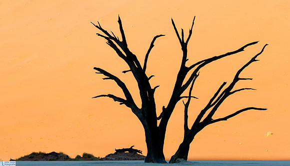 Deadvlei-2