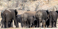 Etosha - Dolomite Camp-11