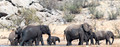 Etosha - Dolomite Camp-13
