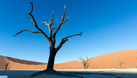 Deadvlei-8