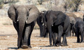 Etosha - Dolomite Camp-9