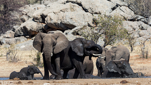 Etosha - Dolomite Camp-5