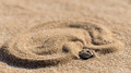 Sidewinding Adder-15