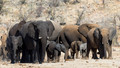 Etosha - Dolomite Camp-10