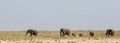 Etosha - Dolomite Camp-1