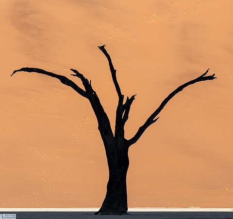 Deadvlei-11