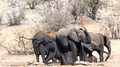 Etosha - Dolomite Camp-16