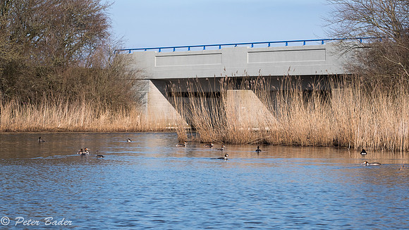 Het Futen meertje