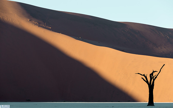 Deadvlei-6